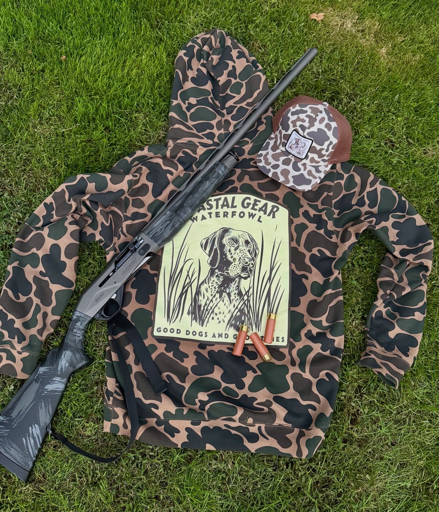 Hoodies & Sweatshirts